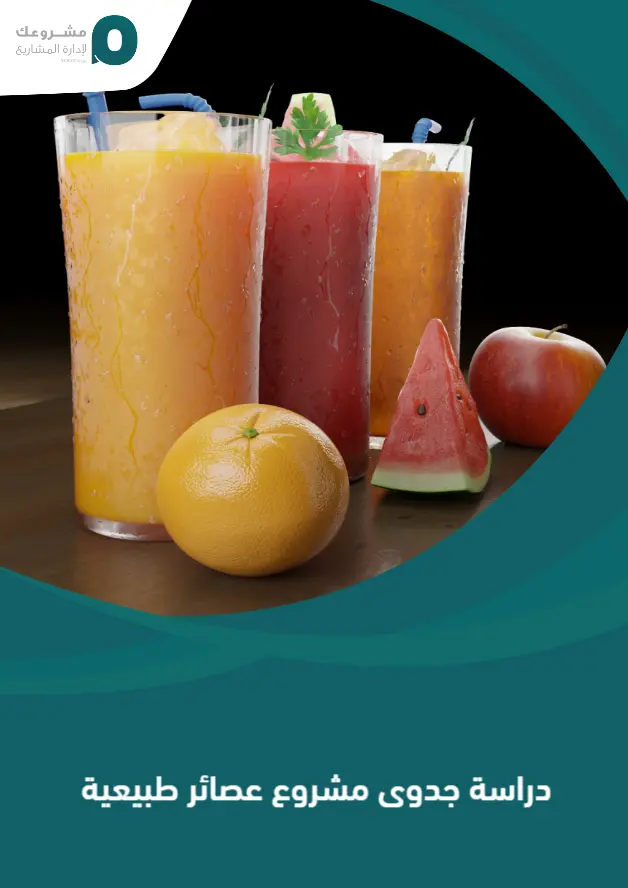 دراسة جدوى مشروع عصائر طبيعية