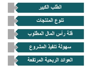 أهم مميزات المشروع