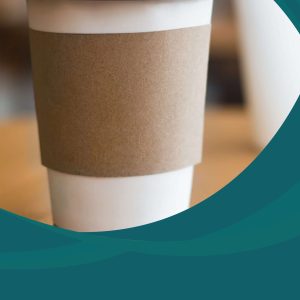 دراسة جدوى مصنع الأيس كوب