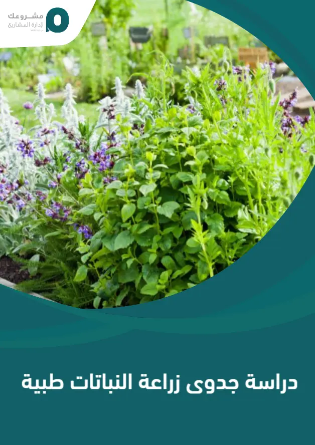 دراسة جدوى زراعة النباتات طبية