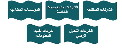 الفئات المستهدفة داخل الأسواق.