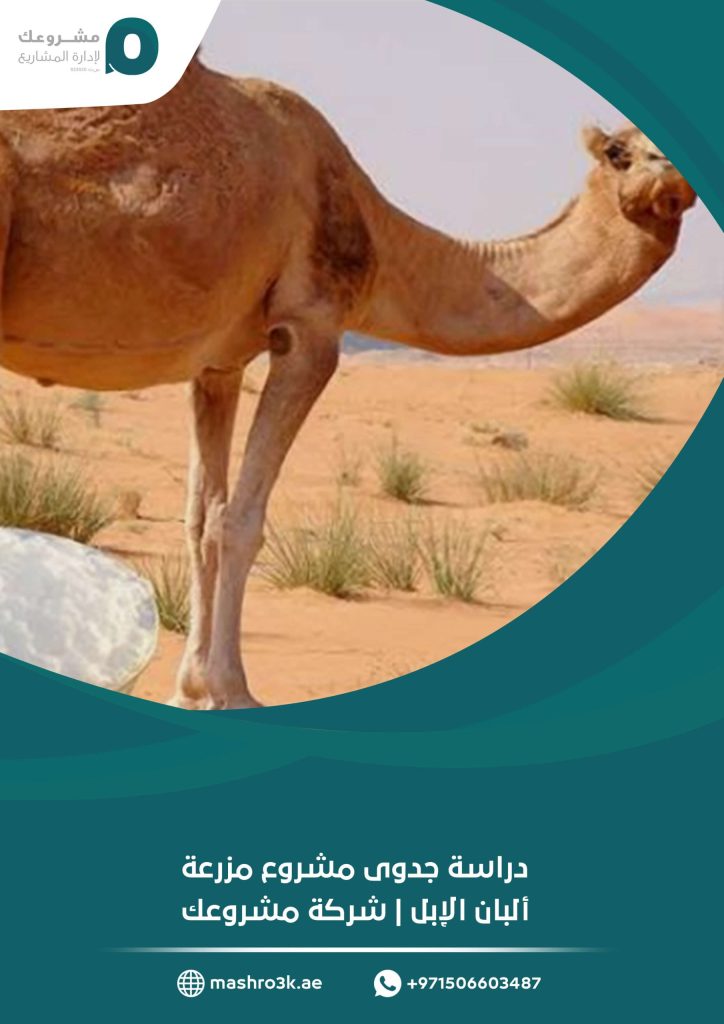 دراسة جدوى مشروع مزرعة ألبان الإبل | شركة مشروعك
