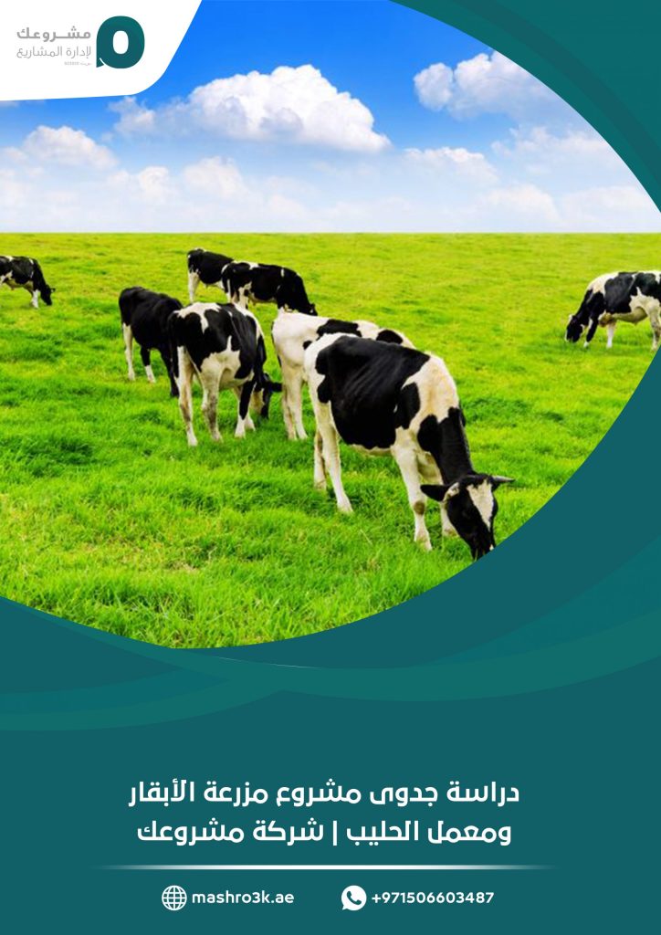 دراسة جدوى مشروع مزرعة الأبقار ومعمل الحليب