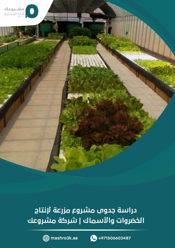 دراسة جدوى مشروع مزرعة لإنتاج الخضروات والأسماك
