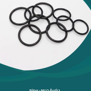 دراسة جدوى مصنع الجوانات