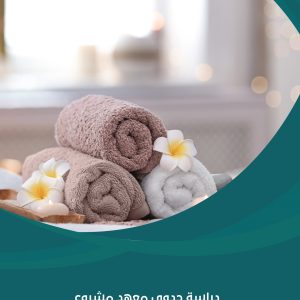دراسة جدوى معهد مشروع سبا