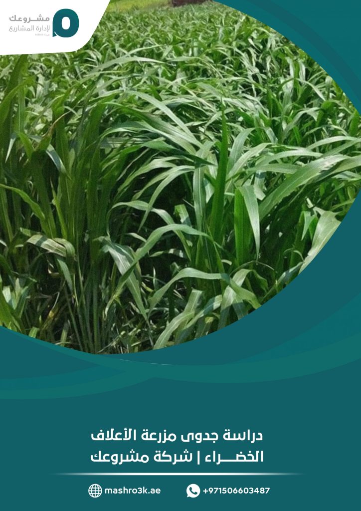 دراسة جدوى مزرعة الأعلاف الخضراء