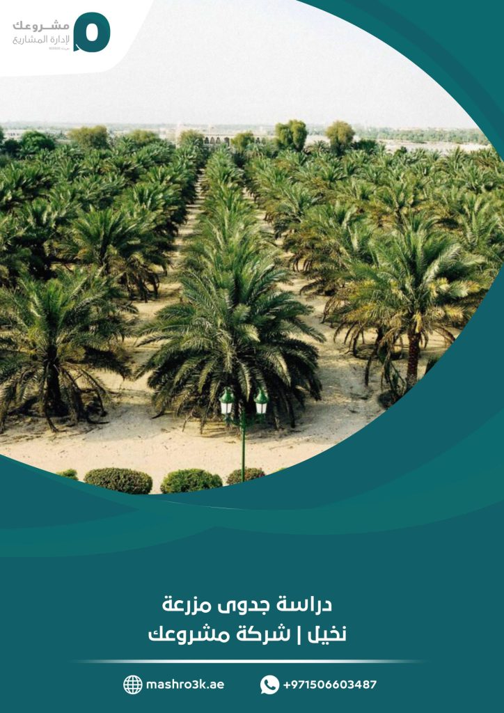 دراسة جدوى مزرعة نخيل | شركة مشروعك