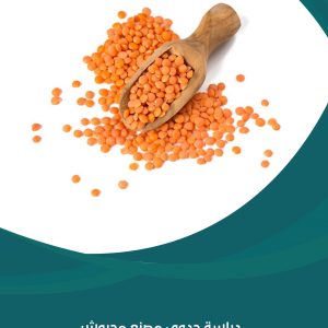 دراسة جدوى مصنع مجروش العدس