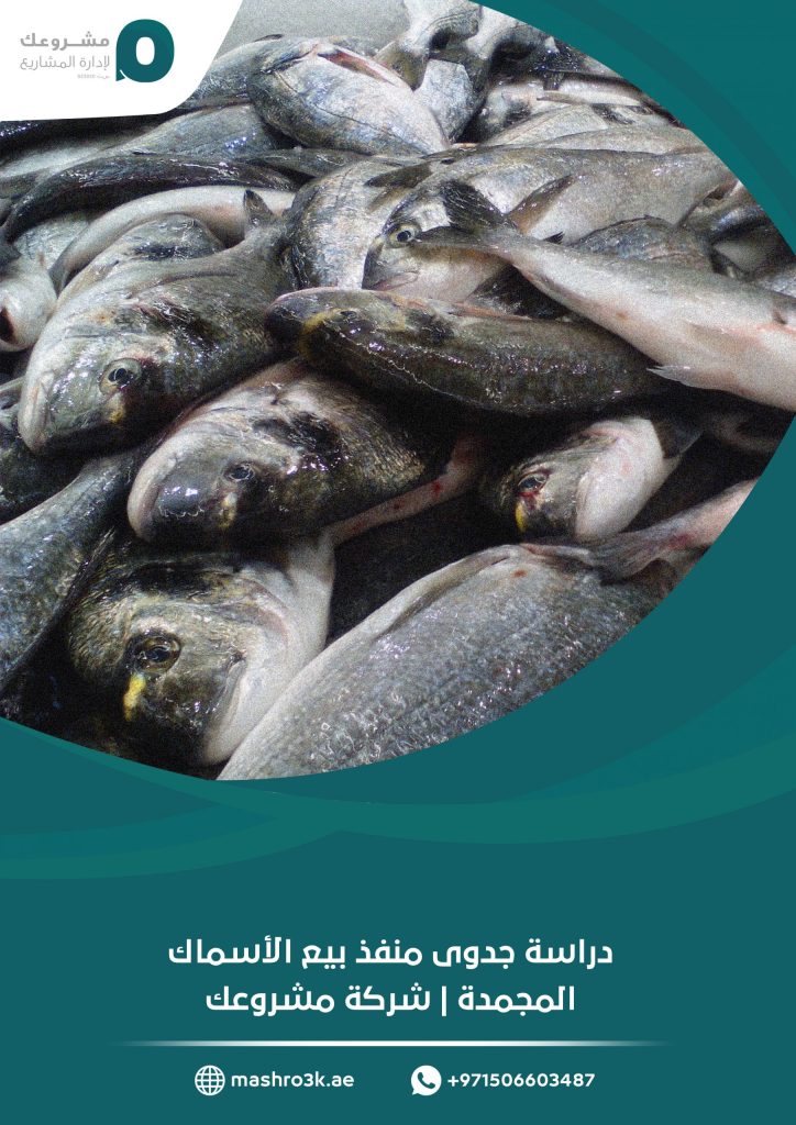 دراسة جدوى منفذ بيع الأسماك المجمدة
