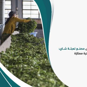دراسة جدوى مصنع تعبئة شاي: النجاح يبدأ بفكرة ممتازة