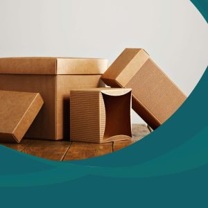 دراسة جدوى مصنع منتجات الكرتون