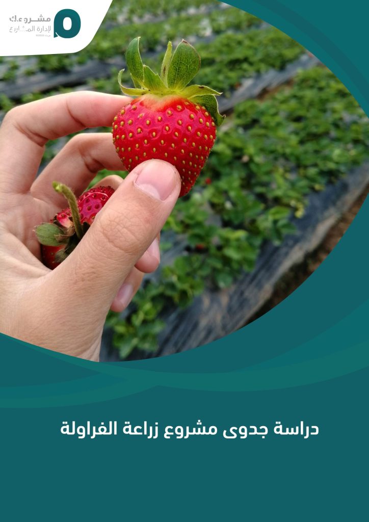 دراسة جدوى مشروع زراعة الفراولة