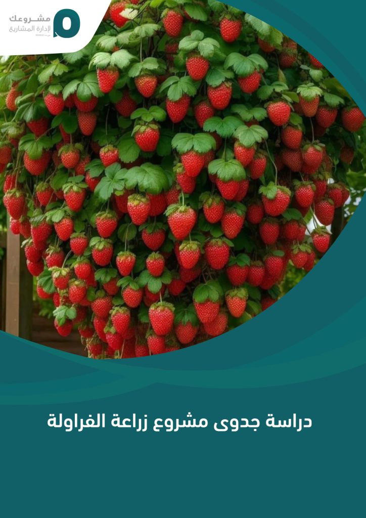 مشروع زراعة الفراولة