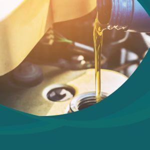 دراسة جدوى مصنع زيوت سيارات