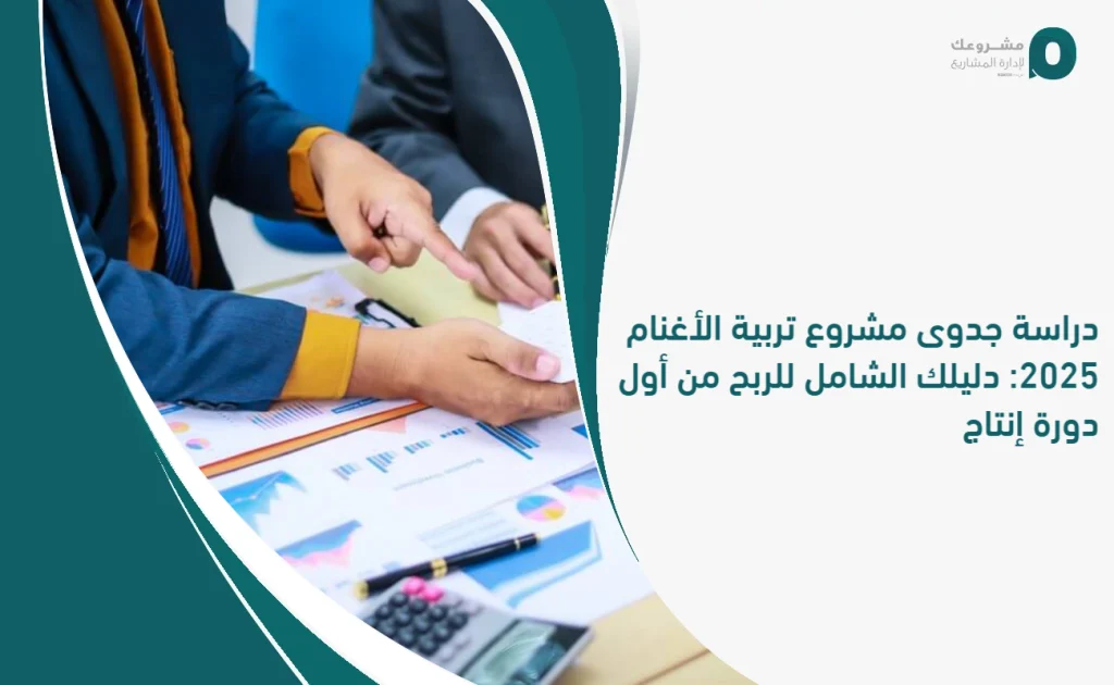 دراسة جدوى مشروع تربية الأغنام: التكاليف وخطوات التأسيس وعوامل النجاح