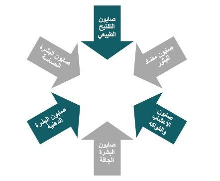 المنتجات المقدمة من مشروع تصنيع صابون الوجه