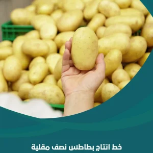 خط انتاج بطاطس نصف مقلية