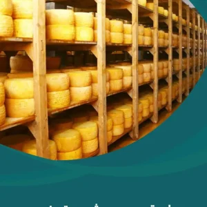 دراسة جدوى مشروع تصنيع الجبنة الرومى