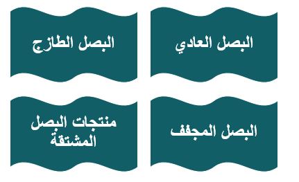المنتجات التي تحددها دراسة جدوى مشروع زراعة البصل