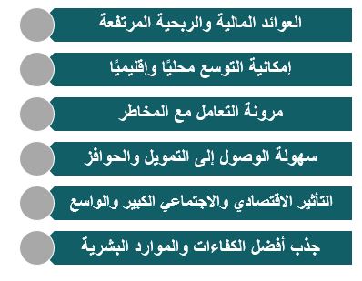 ما هي أهم مميزات المشاريع الكبيرة في تونس؟