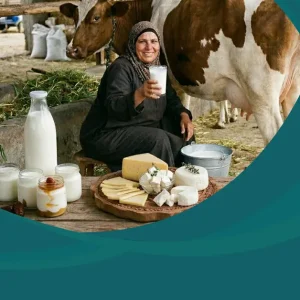 دراسة جدوى مشروع ألبان