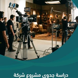 دراسة جدوى مشروع شركة إنتاج فني