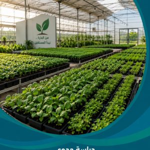 دراسة جدوى مشروع إنتاج شتلات زراعية