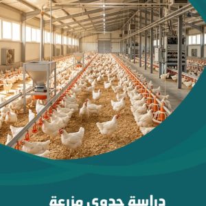 دراسة جدوى مزرعة دواجن حديثة