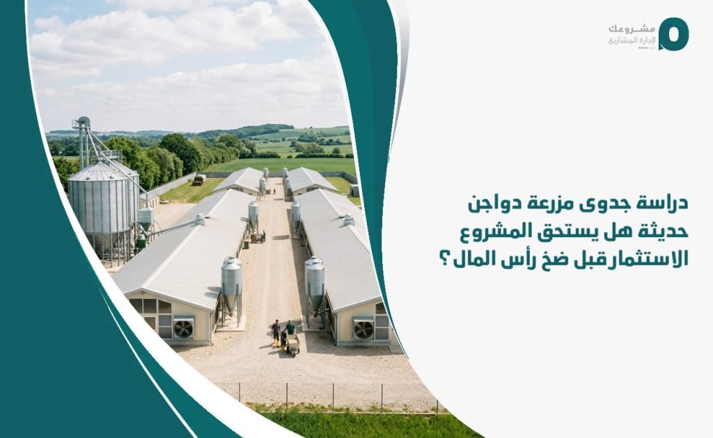 دراسة جدوى مزرعة دواجن حديثة: هل يستحق المشروع الاستثمار قبل ضخ رأس المال؟